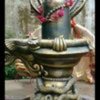 Thakur S.